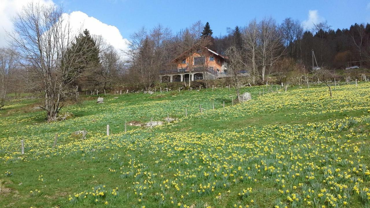 Gite De La Lombarde Льо Толи Екстериор снимка